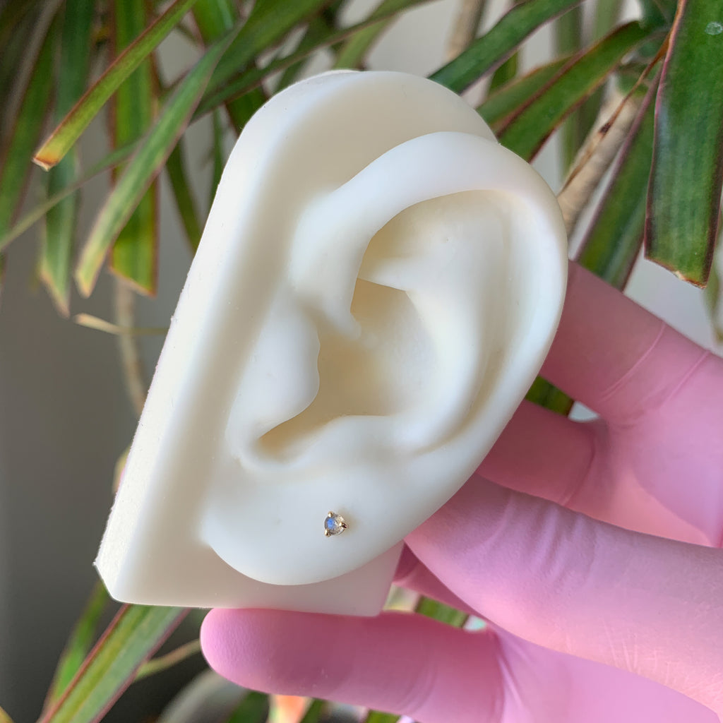 Brilliance Piercing Webstore brilliance-piercing-webstore